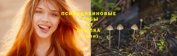 прущий лед Вязьма