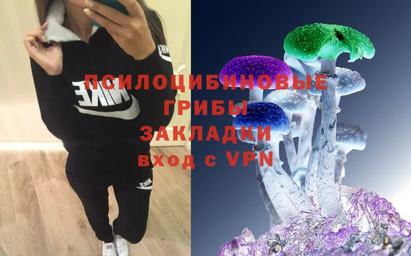 герыч Вяземский