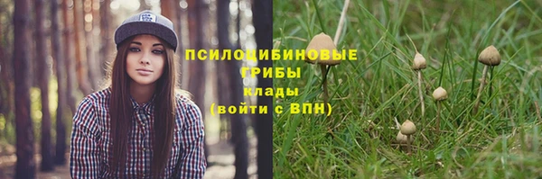 прущий лед Вязьма