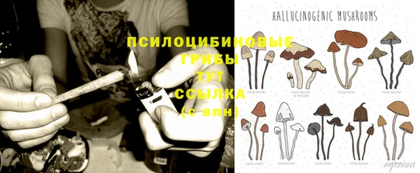 прущий лед Вязьма