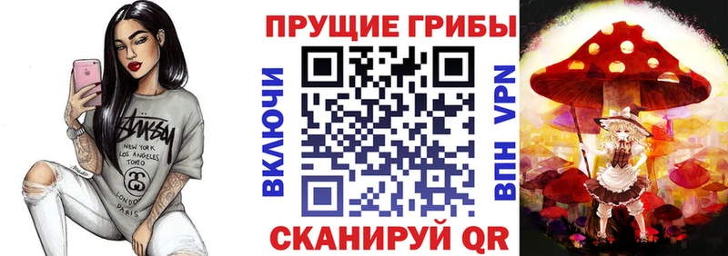 дарнет шоп  Старый Оскол  Галлюциногенные грибы ЛСД 